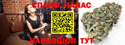 тгк Нальчик