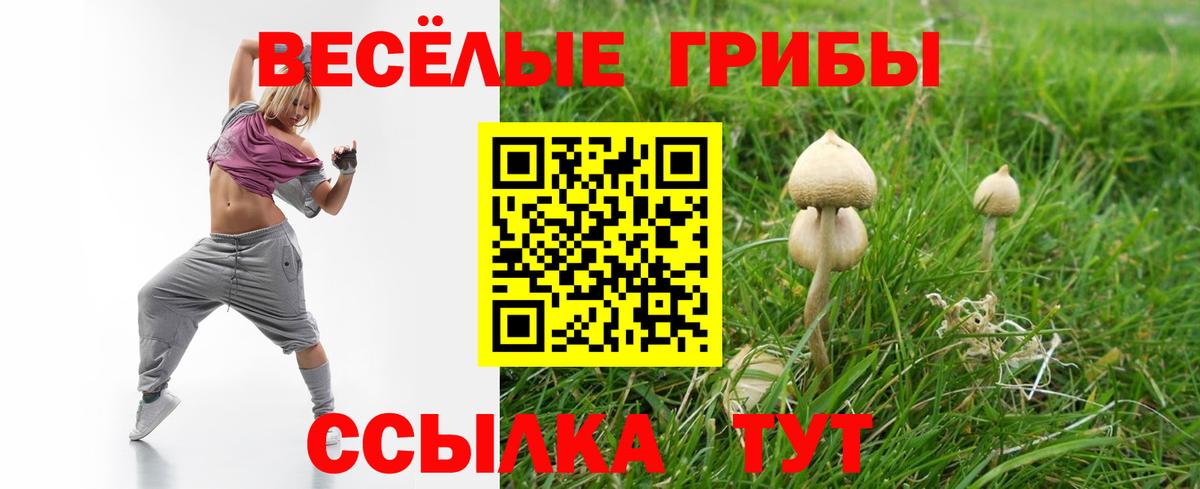 Псилоцибиновые грибы ЛСД Сургут